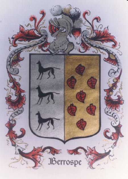 escudo berrospe